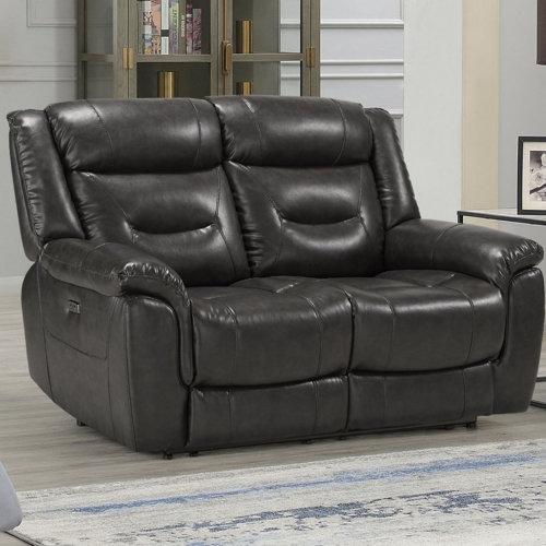 Winston Porter Dragusin 65'' Leather Power Reclining Loveseat Wayfair